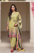 BIN NAEEM EXCLUSIVE BANA DORA Lawn COLLECTION